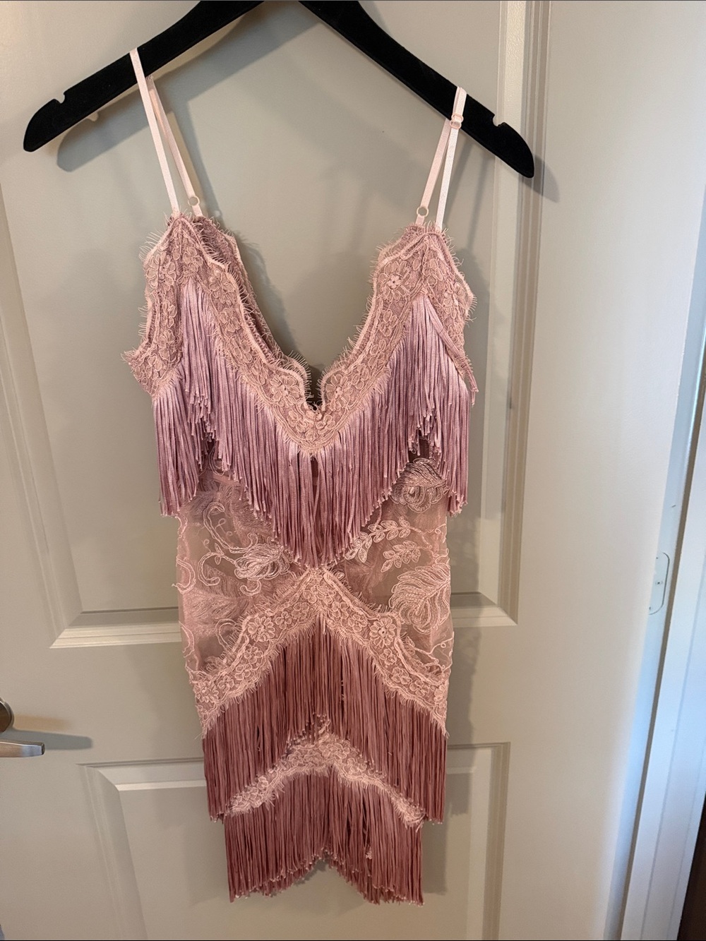 Banjul Blush Pink Lace Fringe Mini Dress